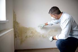 Best Mold Odor Removal Services in East Honolulu, HI